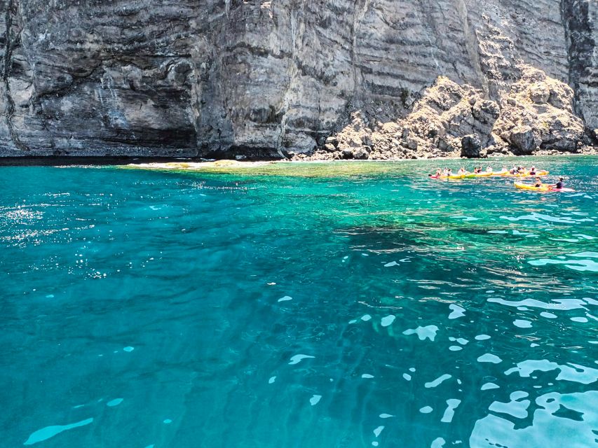 Los Gigantes: Whales and Dolphin Watching Cruise with Lunch - How personal is the small-group experience?