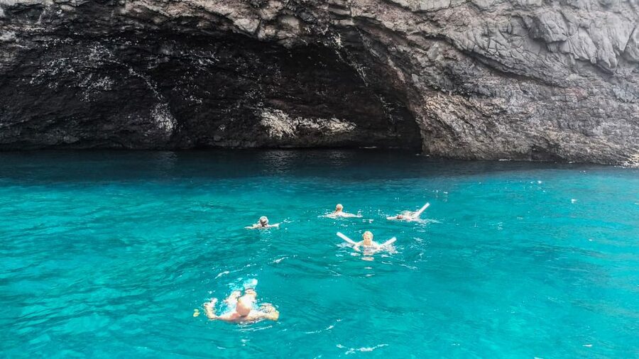 Los Gigantes: Whales and Dolphin Watching Cruise with Lunch - Is $74 a fair price?