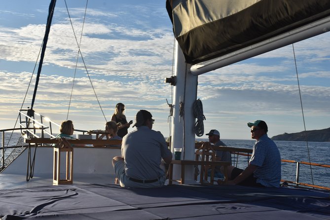 Luxury Yacht Snorkeling & Lunch Cruise from Cabo San Lucas - Is a luxury yacht worth $199?