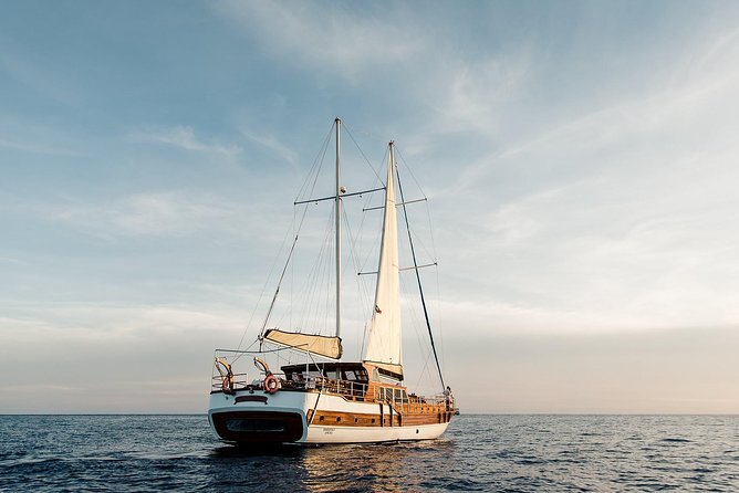 Luxury Yacht Snorkeling & Lunch Cruise from Cabo San Lucas - Who will enjoy this Cabo cruise most