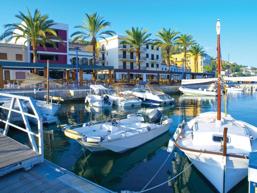 Mallorca: Catamaran Coastal Cruise with Lunch - Key points at a glance