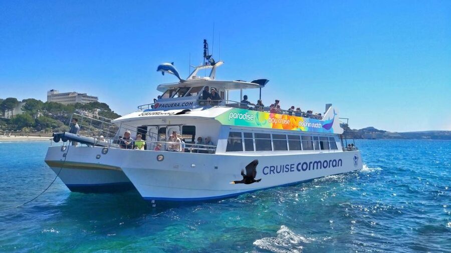 Mallorca: Catamaran Coastal Cruise with Lunch - Practical tips for a smoother day