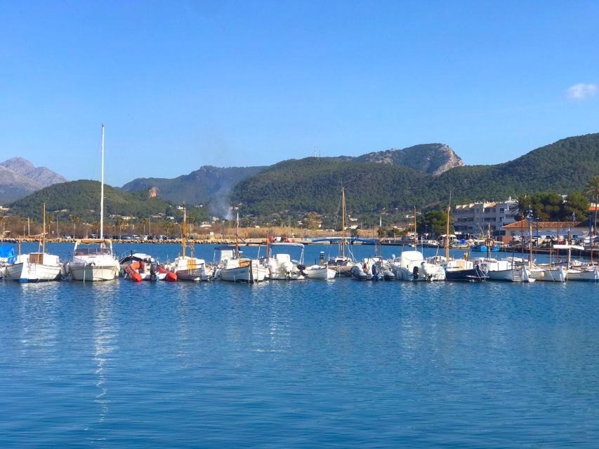 Mallorca: Catamaran Coastal Cruise with Lunch - A relaxed cruise along Mallorca’s southwest coast