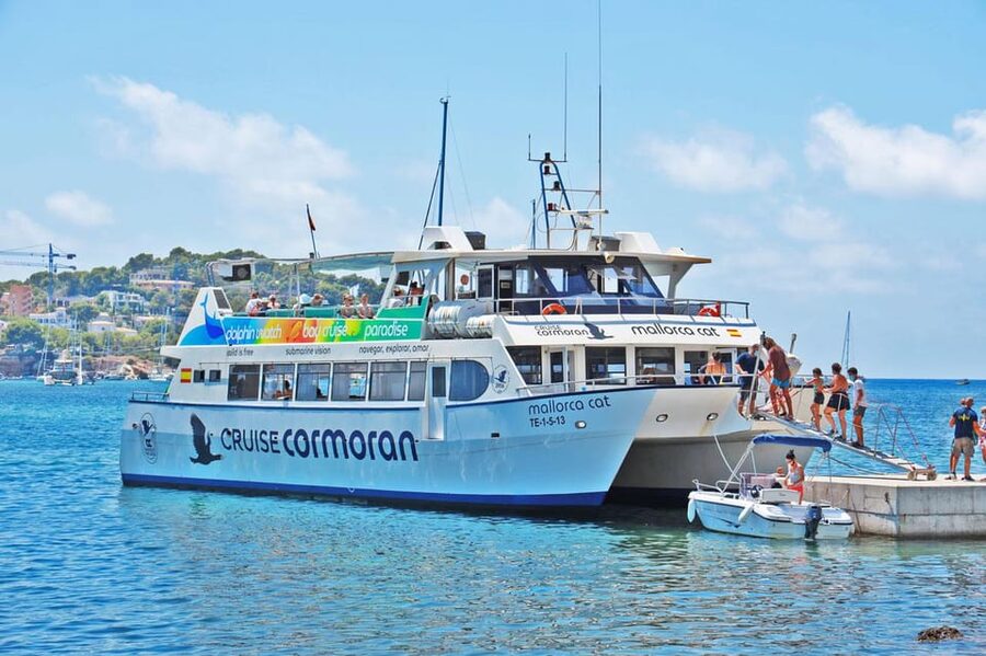 Mallorca: Catamaran Coastal Cruise with Lunch - Port Andratx in a 40-minute stop