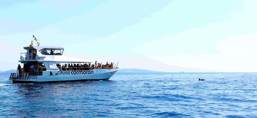 Mallorca: Catamaran Coastal Cruise with Lunch - What lunch is really like on board