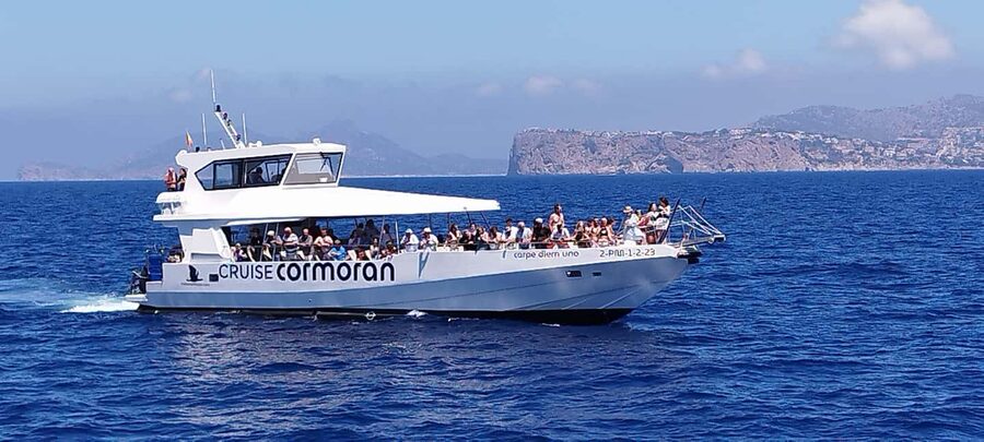 Mallorca: Catamaran Coastal Cruise with Lunch - Is $54 a fair price?