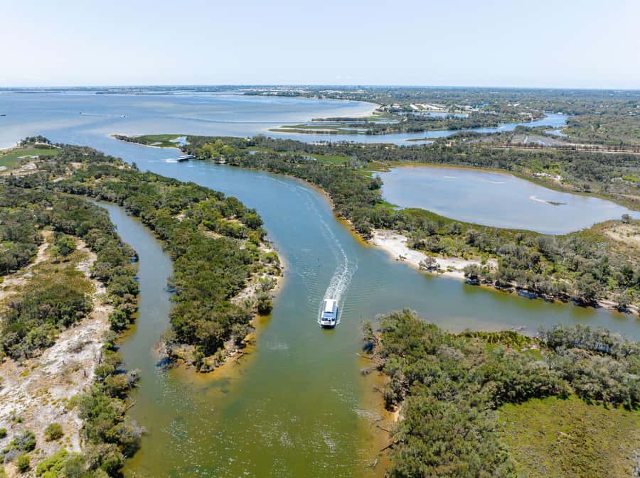 Mandurah: Murray River Lunch Cruise - Looking for dolphins on Peel Inlet