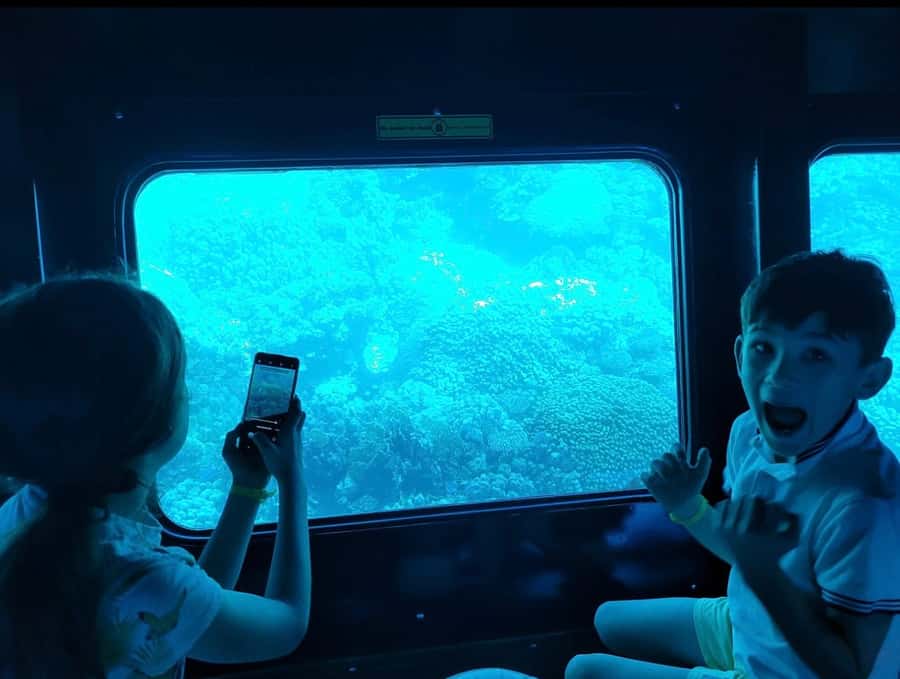 Marsa Alam: Nefertari Sunset Turtle Bay Cruise with Dinner - Marsa Mubarak and the underwater viewing deck