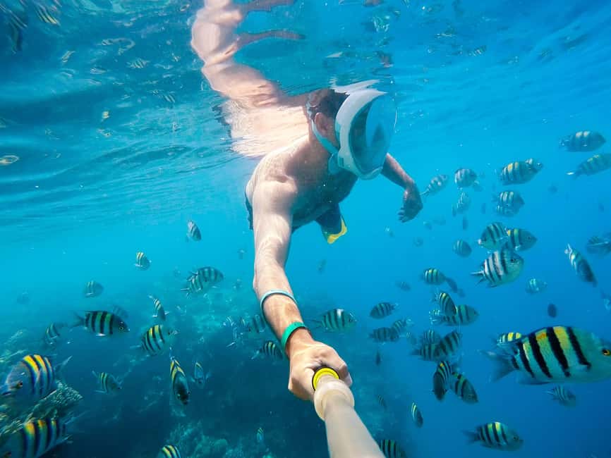 Marsa Alam:Sataya Reefs Dolphin Snorkeling Cruise with Lunch - Sataya Reef and the promise of wild dolphins