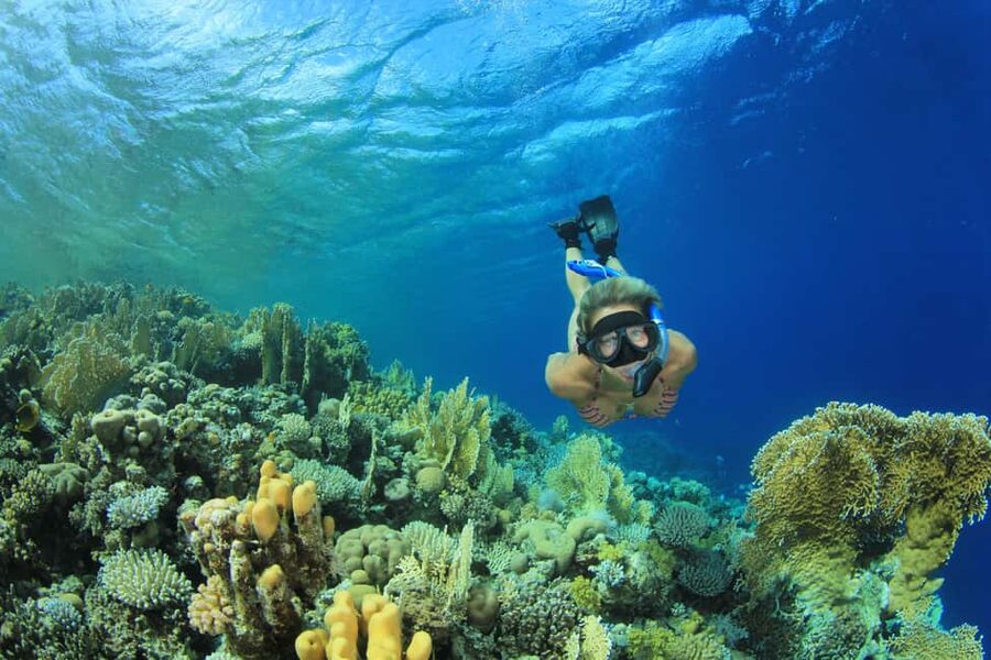 Marsa Alam:Sataya Reefs Dolphin Snorkeling Cruise with Lunch - Boarding the boat from the marina