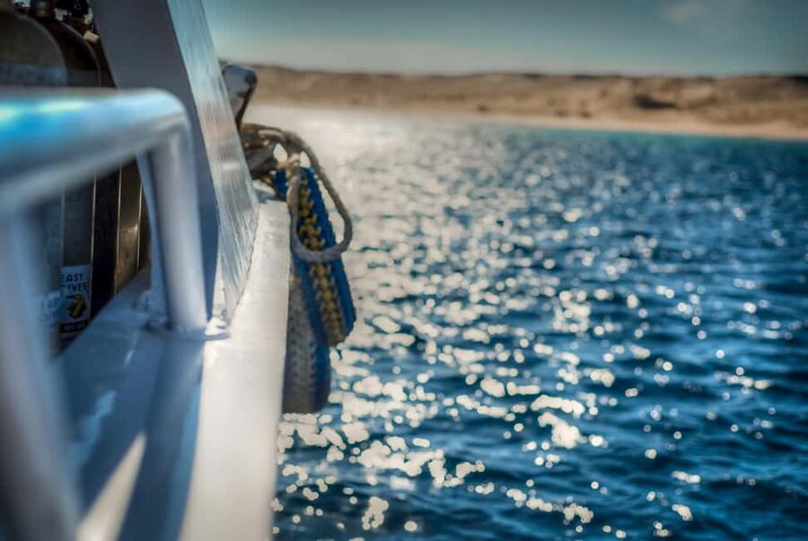Marsa Alam:Sataya Reefs Dolphin Snorkeling Cruise with Lunch - Who will enjoy this trip most