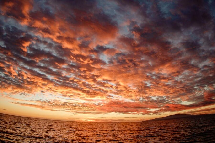Maui: Luxury Catamaran Royal Sunset 5-Course Dinner Cruise - Sunset views are the main scenic event