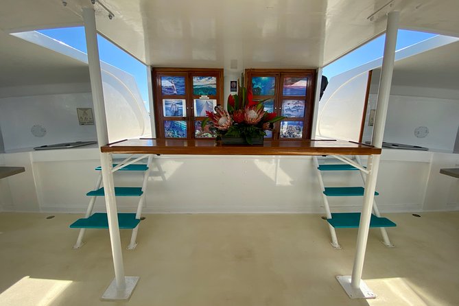 Maui Premium Sunset Dinner Cruise from Ka’anapali Beach - Winter whale watching from Ka’anapali