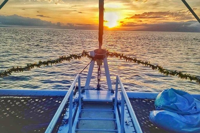 Maui Premium Sunset Dinner Cruise from Ka’anapali Beach - Who should book this cruise?