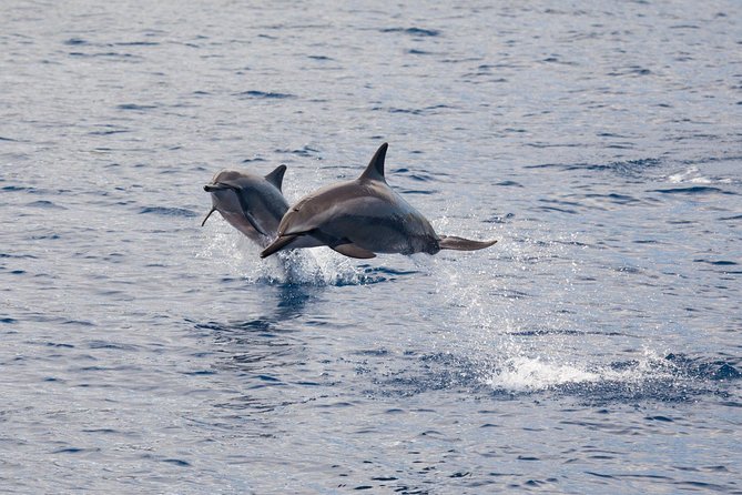 Maui Premium Sunset Dinner Cruise & Whale Watch - McGregor Point Lighthouse and the changing evening light