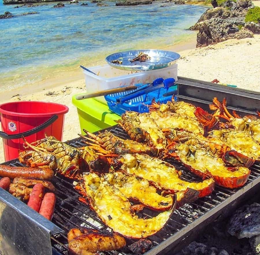 Mauritius: Ile Aux Cerfs Catamaran Cruise with Lunch - Who will get the most from this cruise
