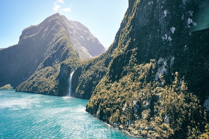 Milford Sound Luxury Lunch Cruise onboard The Fiordland Jewel - Watching for seals, penguins, and dolphins