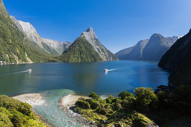 Milford Sound Premium Coach and Cruise with Lunch from Te Anau - Why this is a sensible way to reach Milford Sound
