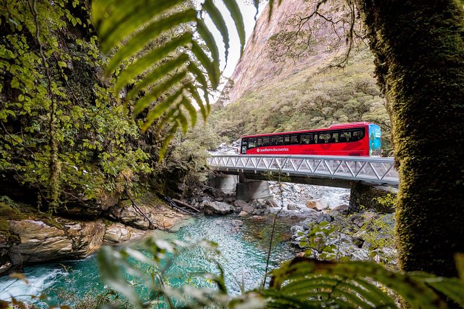 Milford Sound Premium Coach and Cruise with Lunch from Te Anau - The Milford Sound cruise beneath Mitre Peak