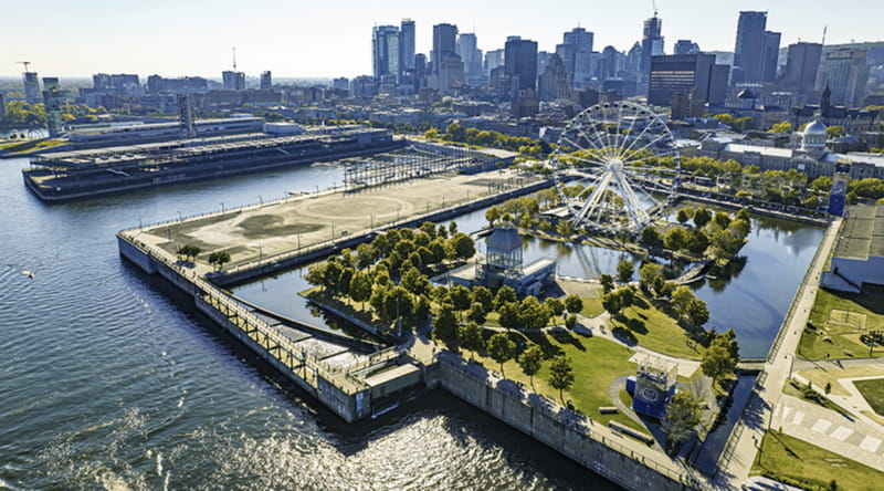 Montréal: Weekend River Brunch Cruise - Under the Jacques Cartier Bridge