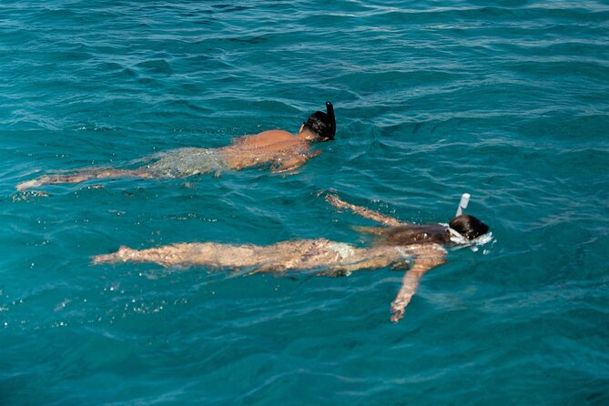 Mykonos: Brand-New Catamaran Cruise with Meal, Drinks & Transport - Swimming, snorkeling, kayaking, and paddleboarding