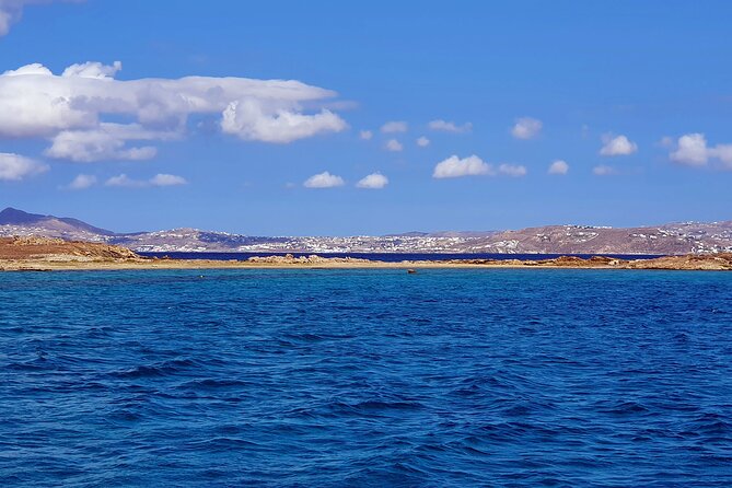 Mykonos Catamaran Delos Rhenia Cruise with Lunch and Transfer - Ancient Delos gives the cruise its purpose
