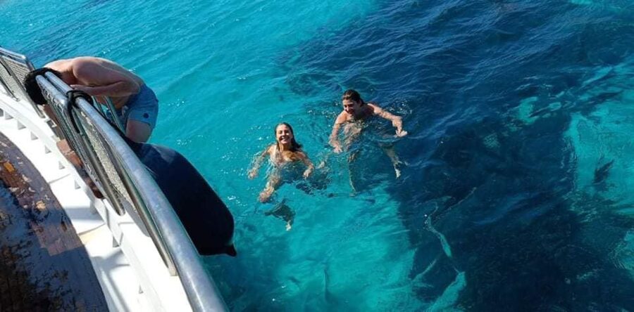 Mykonos: Little Venice and Agios Stefanos Cruise with Lunch - Seeing Mykonos from the water at 10:00 am