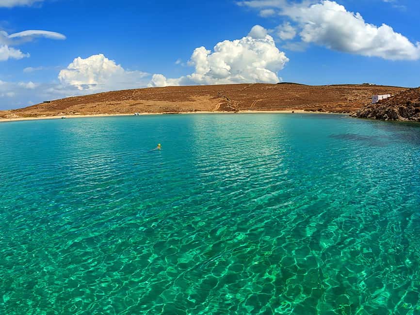 Mykonos: Rhenia Island Catamaran Cruise with Meal and Drinks - Lunch with wine, fruit, and a choice of main dish