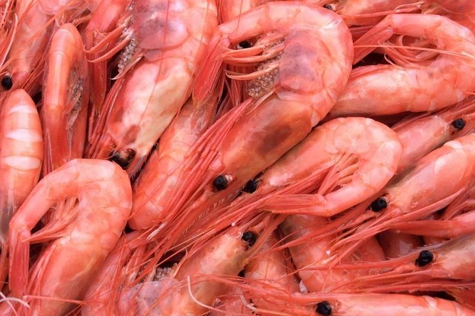 Oslo Fjord Evening Cruise with Shrimp Buffet on a Sailing Ship - Who will enjoy this Oslo cruise most