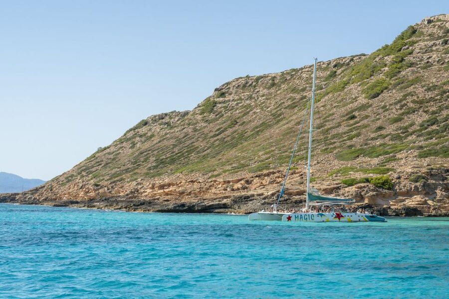 Palma de Mallorca: 5-Hour Catamaran Cruise with Lunch & Swim - Who will enjoy this catamaran cruise?