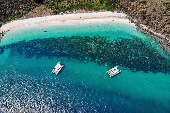 Pattaya Full-Day 3 Tropical Island tour Snorkeling Cruise Buffet - Koh Ped and the macaques of Monkey Island