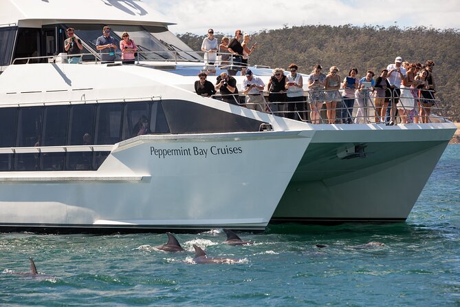 Peppermint Bay Cruise & Lunch - Key points to know