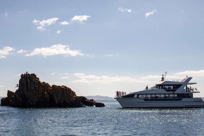 Peppermint Bay Cruise & Lunch - The Derwent River opens into the channel