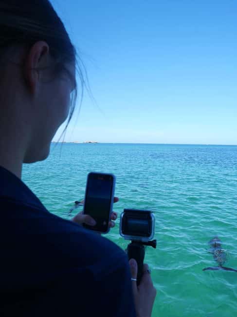 Perth: Dolphin, Sealion & Wildlife Cruise with Lunch - Who will enjoy this cruise most