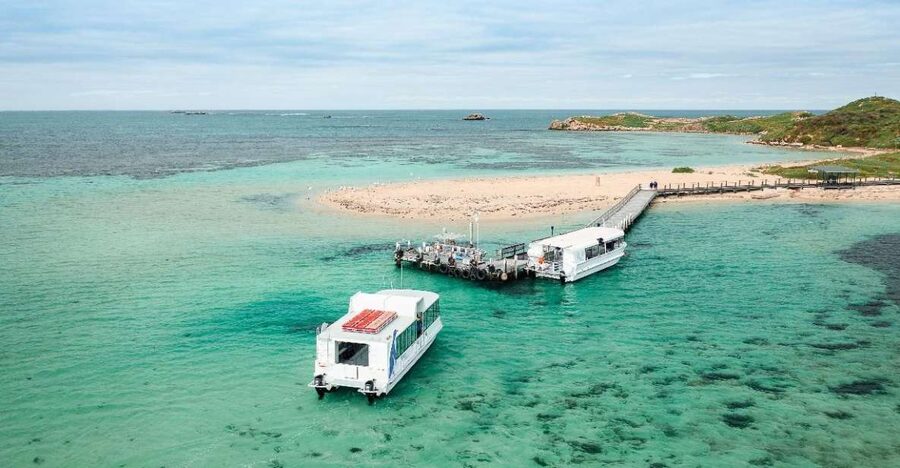 Perth: Dolphin, Sealion & Wildlife Cruise with Lunch - Starting at Penguin Island Visitor Center