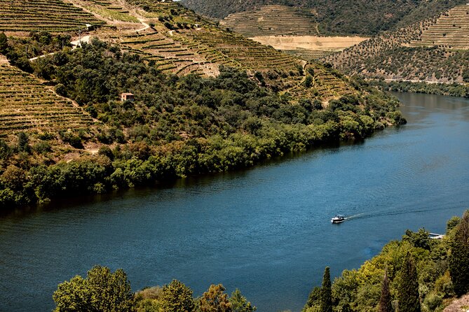 Pinhão: Douro River Cruise with Lunch Included - Who will enjoy this Douro outing?
