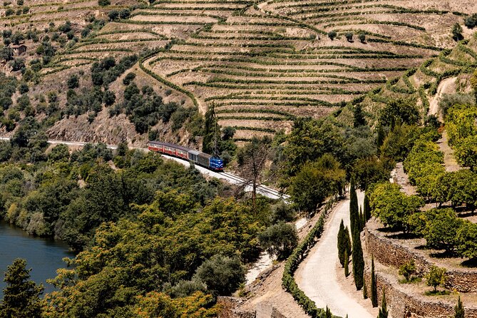Pinhão: Douro River Cruise with Lunch Included - How to get the most from the three hours
