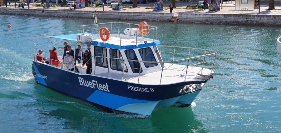 Ponta da Piedade: Half-Day Cruise with Lunch from Lagos - Key points to know before booking