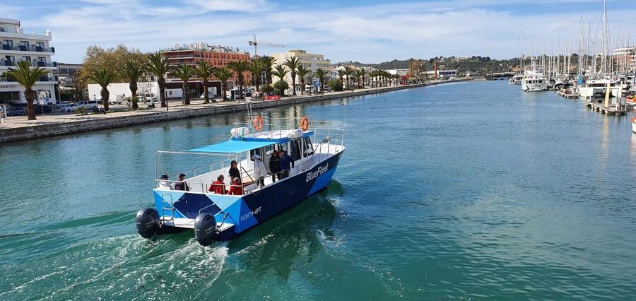Ponta da Piedade: Half-Day Cruise with Lunch from Lagos - Who should book this experience