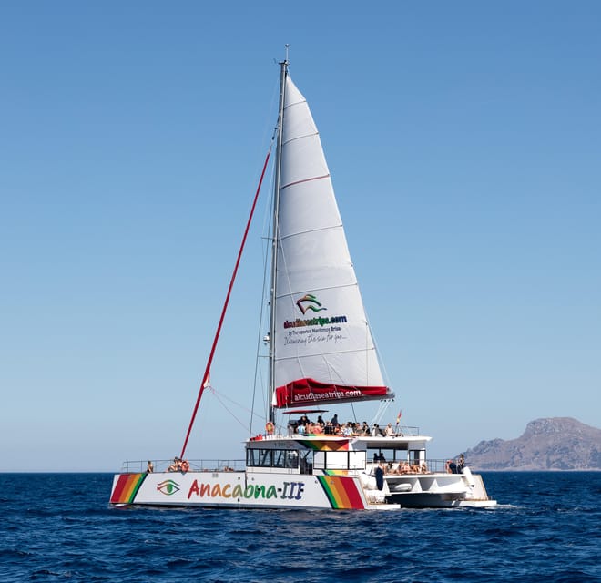 Port d'Alcudia: North Coast Catamaran Cruise with Meal - Should you book the Alcudia catamaran cruise?