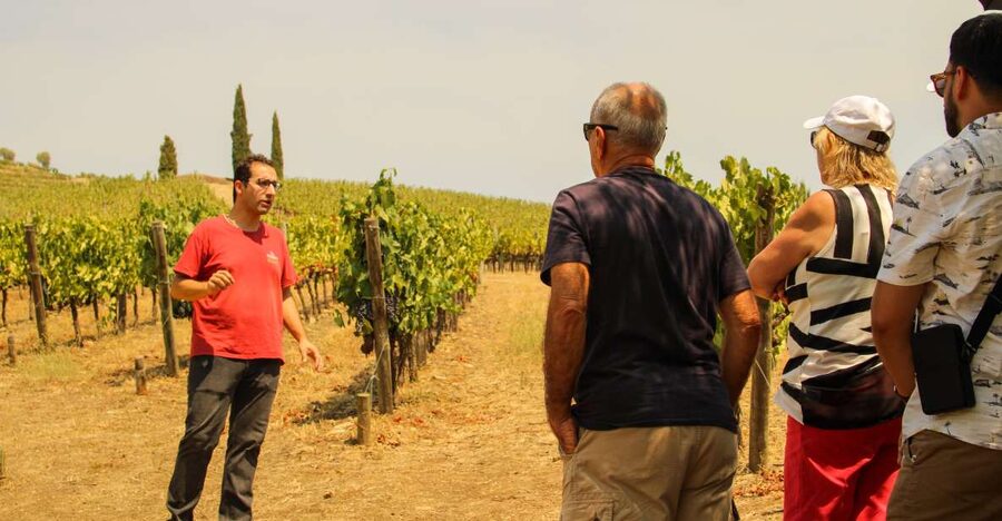 Porto: Douro Valley History & Wine Tour with Cruise & Lunch - Amarante, the gentle opening stop