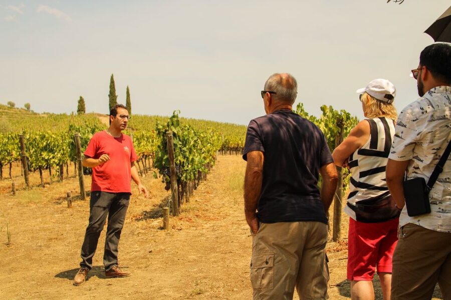 Porto: Douro Valley History & Wine Tour with Cruise & Lunch - A three-course lunch above the river