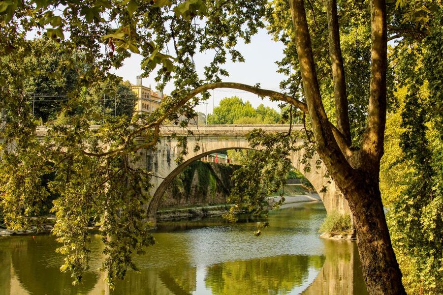 Porto: Douro Valley History & Wine Tour with Cruise & Lunch - How much do you really get for $104?