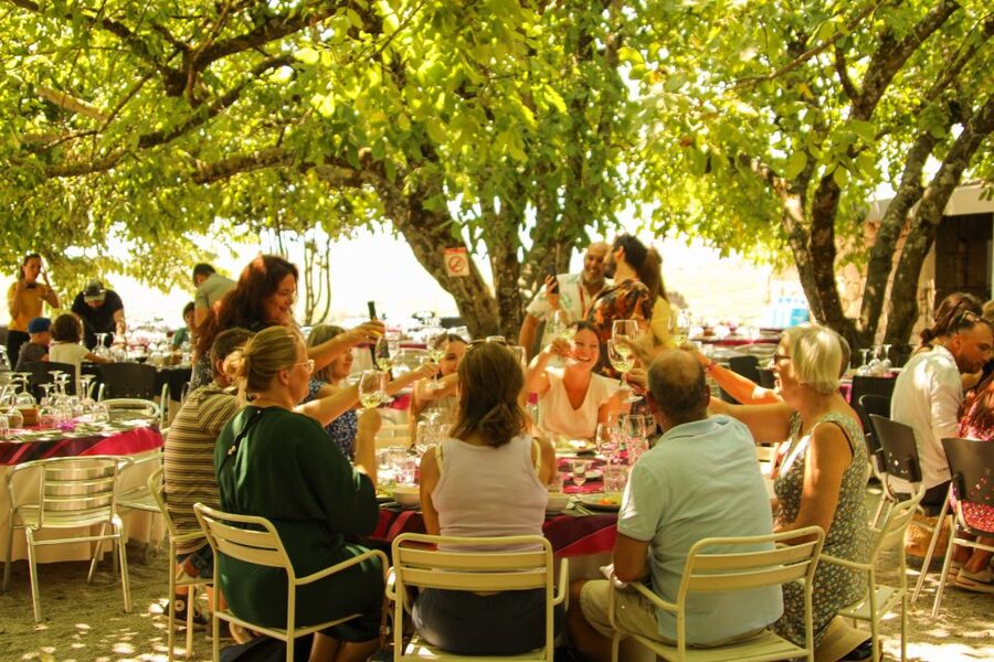 Porto: Douro Valley History & Wine Tour with Cruise & Lunch - Who will enjoy this tour most?