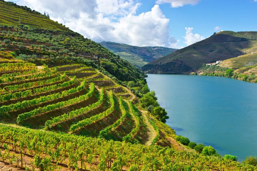 Porto: Douro Valley History & Wine Tour with Cruise & Lunch - São Leonardo da Galafura and the Douro’s steep terraces
