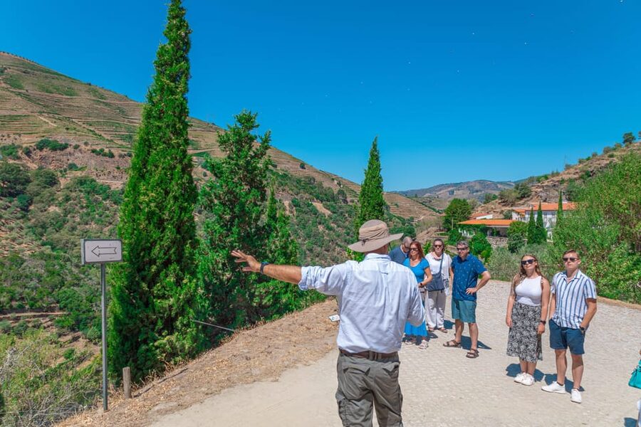 Porto: Douro Valley Private Tour, Tastings, Cruise & Lunch - Is $335 per person a fair price?