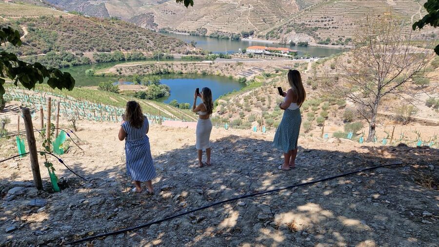 Porto: Douro Valley Tour W/ Wine Taste, Boat Cruise & Lunch - Seeing the vineyards from a rabelo boat