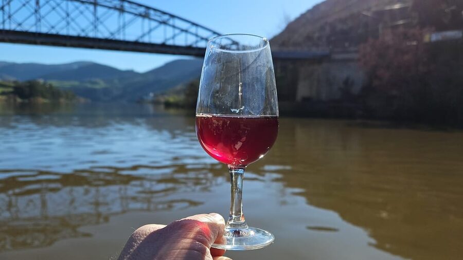 Porto: Douro Valley Tour W/ Wine Taste, Boat Cruise & Lunch - Following the N222 through the valley
