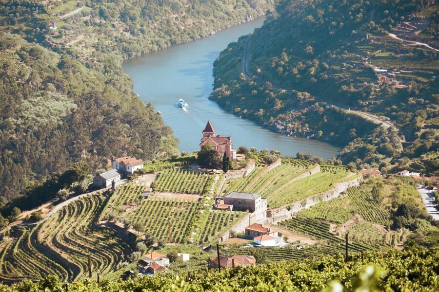 Porto: Douro Valley Tour with Wine Tasting, Cruise and Lunch - Why this Douro Valley day trip works so well