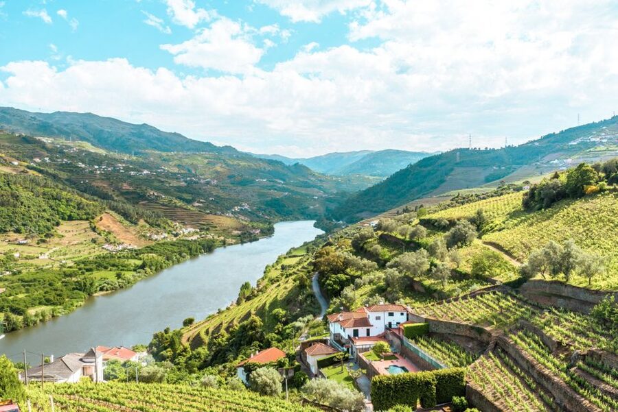 Porto: Douro Valley Tour with Wine Tasting, Cruise and Lunch - First winery visit: learning how Douro wine is made